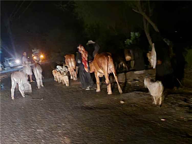 الحوثيون يسيطرون على جبل نعمان في تعز وسط معارك عنيفة ونزوح واسع في جبل حبشي