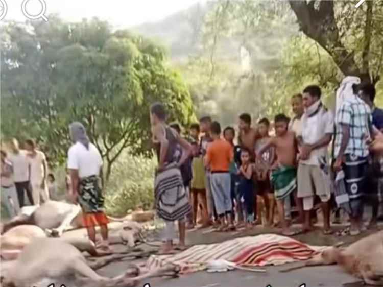 وفاة راعي إبل وإبله في حادث مروري مروع على خط تعز–التربة