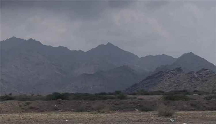 عاجل.. القوات المسلحة تتقدم في حيس جنوبي الحديدة وتسيطر على مواقع استراتيجية
