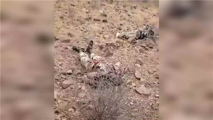العثور على عناصر من «حركة الشباب الصومالية» بين قتلى الحوثيين في الساحل الغربي (فيديو)
