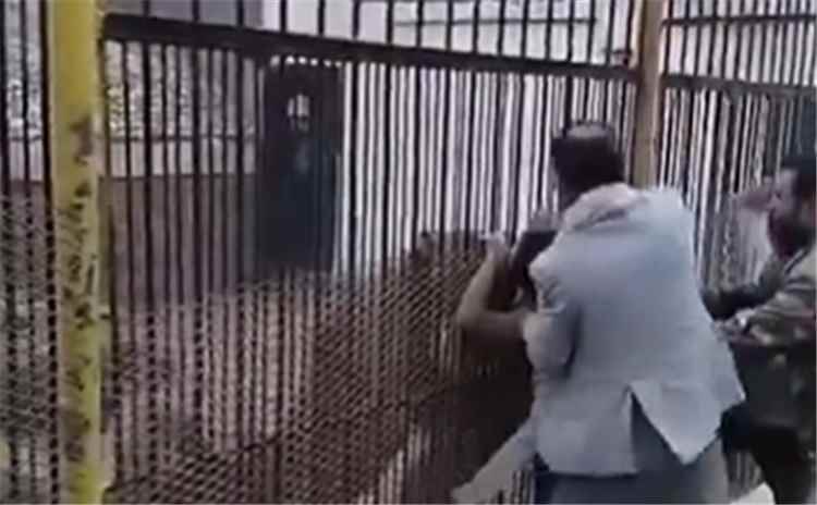 حادثة مروعة: أسد يلتهم يد طفل داخل حديقة الحيوان جنوبي صنعاء - [فيديو]