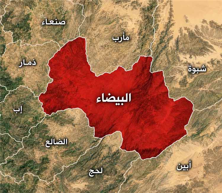 عاجل: القوات المسلحة اليمنية تصل عزلة الناصفة في البيضاء وتحرر مواقع جديدة في تعز وتتقدم في الجوف