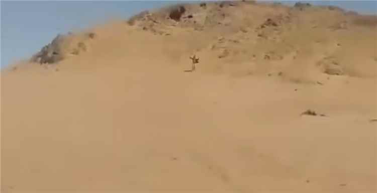 شاهد.. استجابة عناصر حوثية لنداء الجيش الوطني وتسليم أنفسهم ومواقعهم في الجوف (فيديو)
