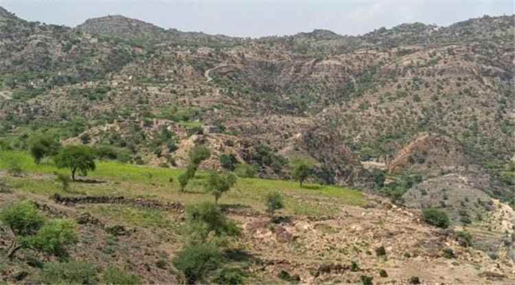 جريمة جديدة.. مليشيا الحوثي تقصف رعاة أغنام في المسيمير