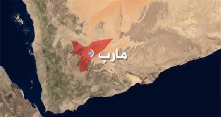 القوات الحكومية تتمكن من كسر هجوم حوثي واسع وتحرر عدة مواقع جنوبي مارب